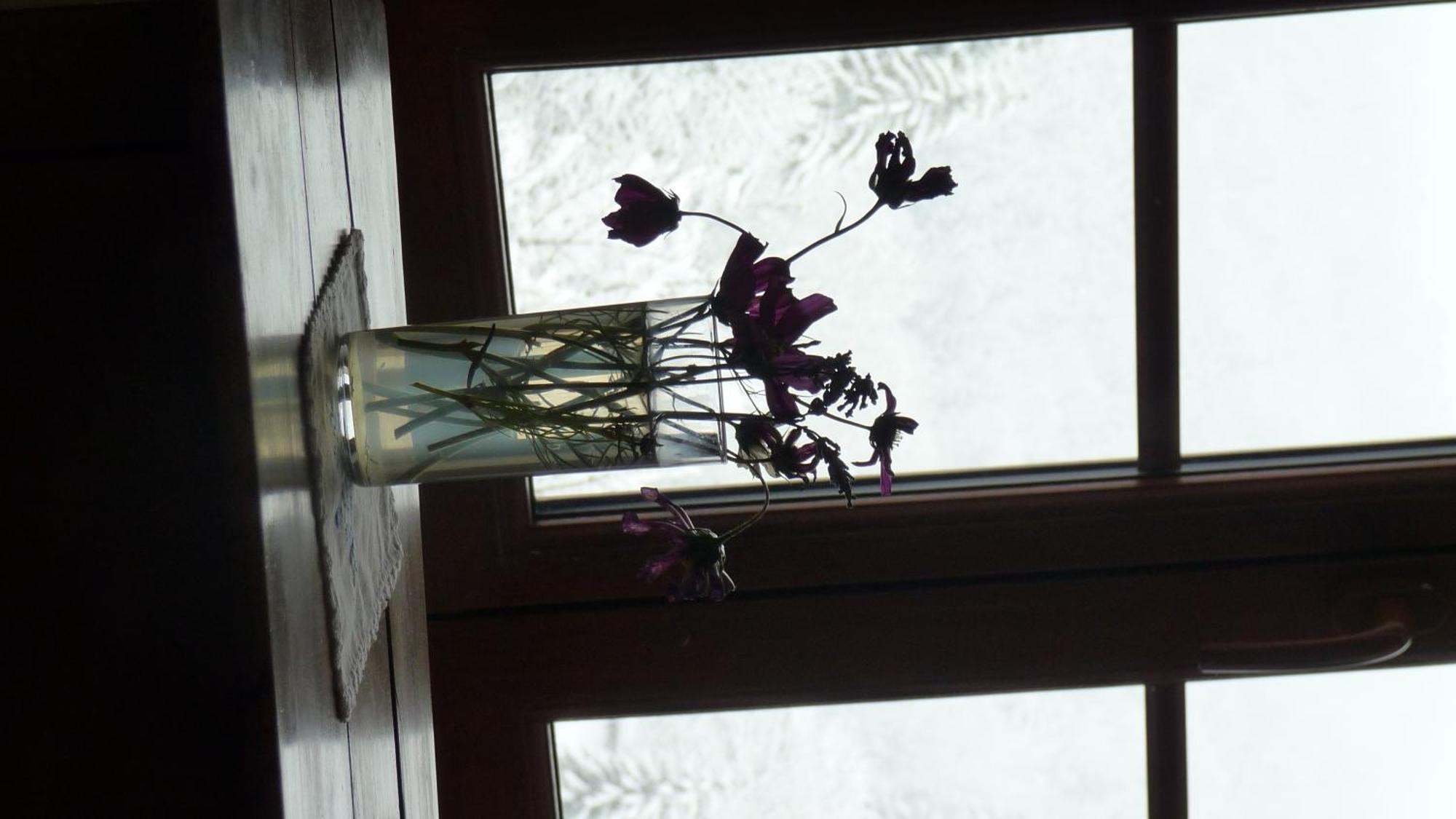 La Chouette A L'Heure Du Pinson Bed & Breakfast Saint-Pierre-d'Entremont  Room photo